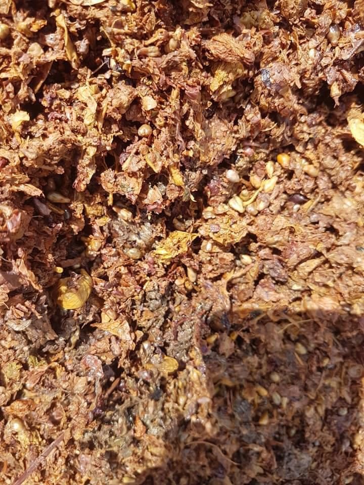 Üzüm posası — hayvan yemi hammaddesi